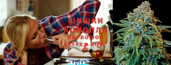 мдпв Вязьма