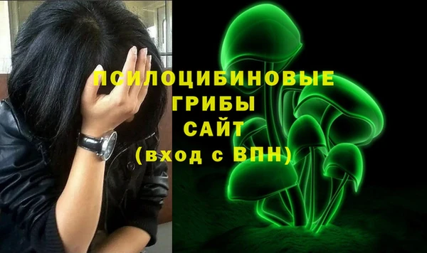 твердый Вязники