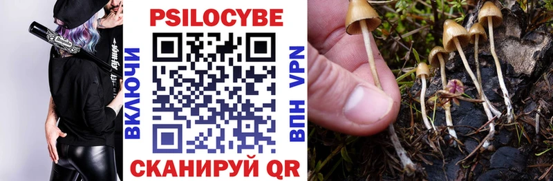 хочу   Евпатория  Галлюциногенные грибы Psilocybine cubensis 