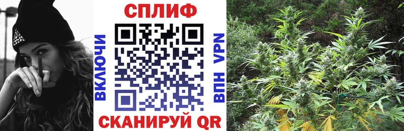 Шишки марихуана план  хочу   Евпатория 